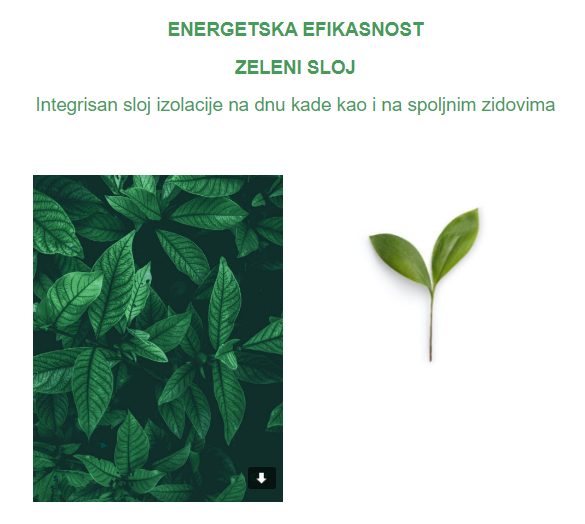 BAIA5.png
