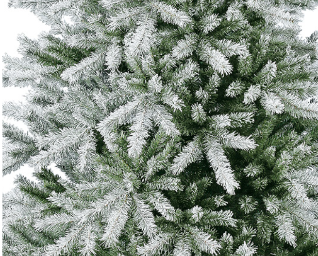 Indina Spruce.png