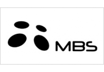 Milan Blagojević Smederevo